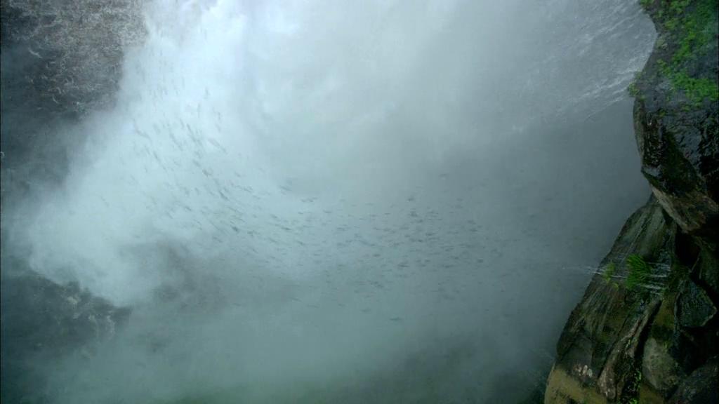 白钻石剧照的剧照