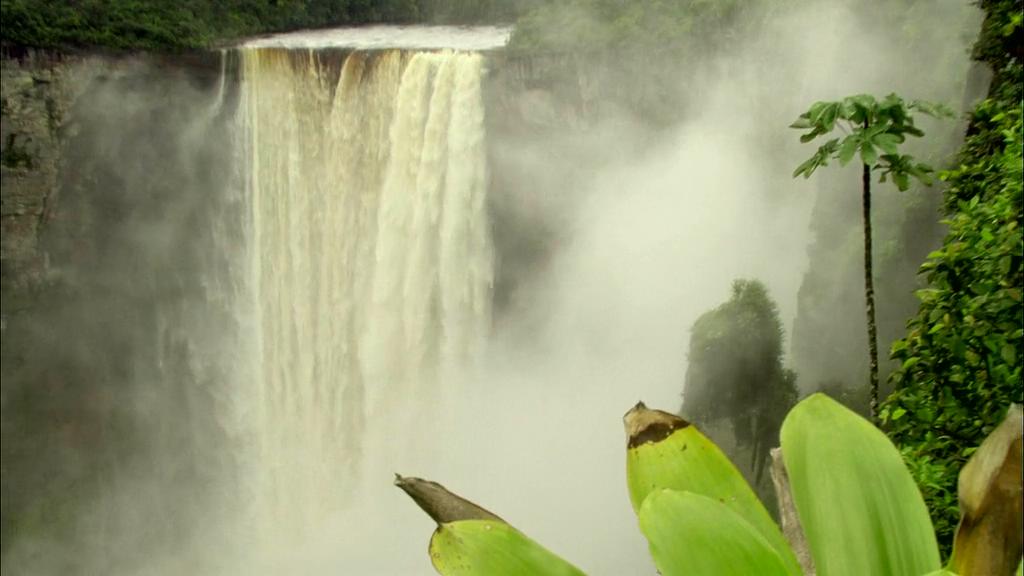 白钻石剧照的剧照