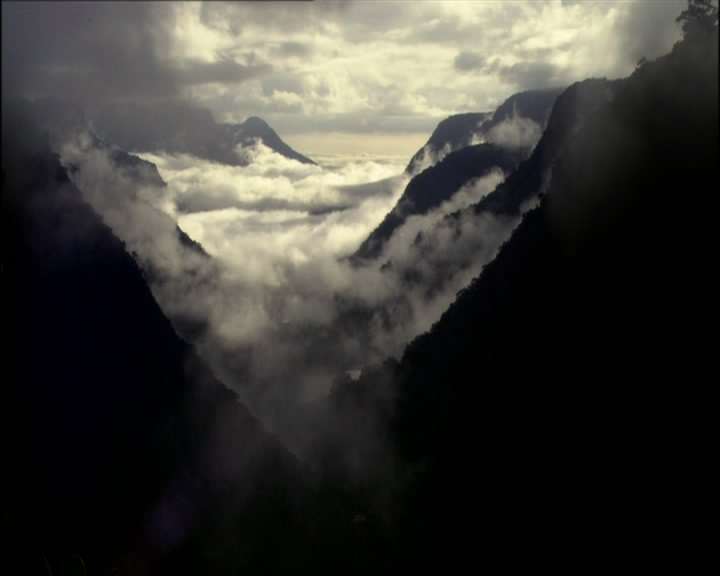 白钻石剧照的剧照