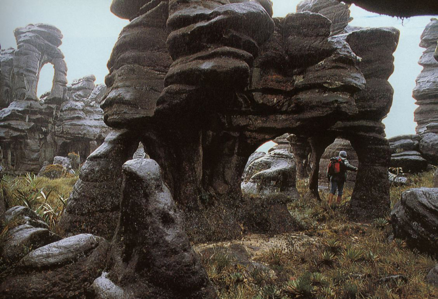 白钻石剧照的剧照