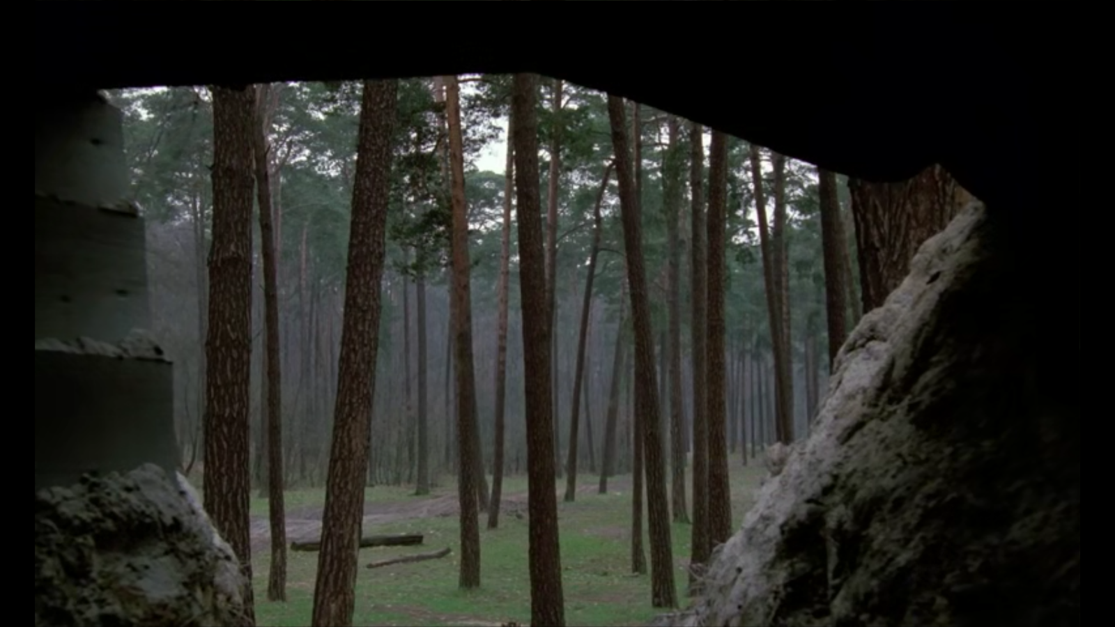 德国姊妹剧照的剧照