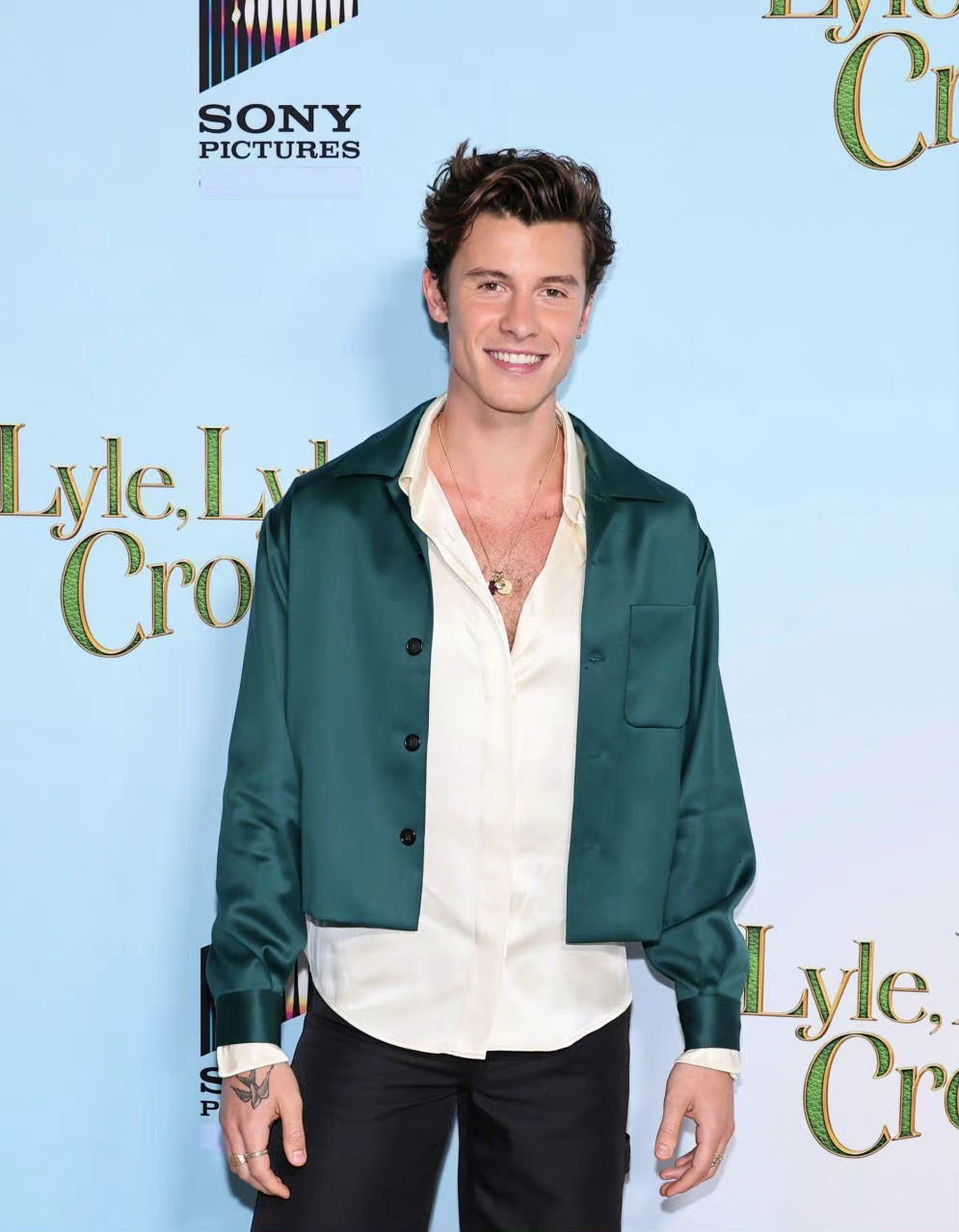 鳄鱼莱莱剧照的剧照