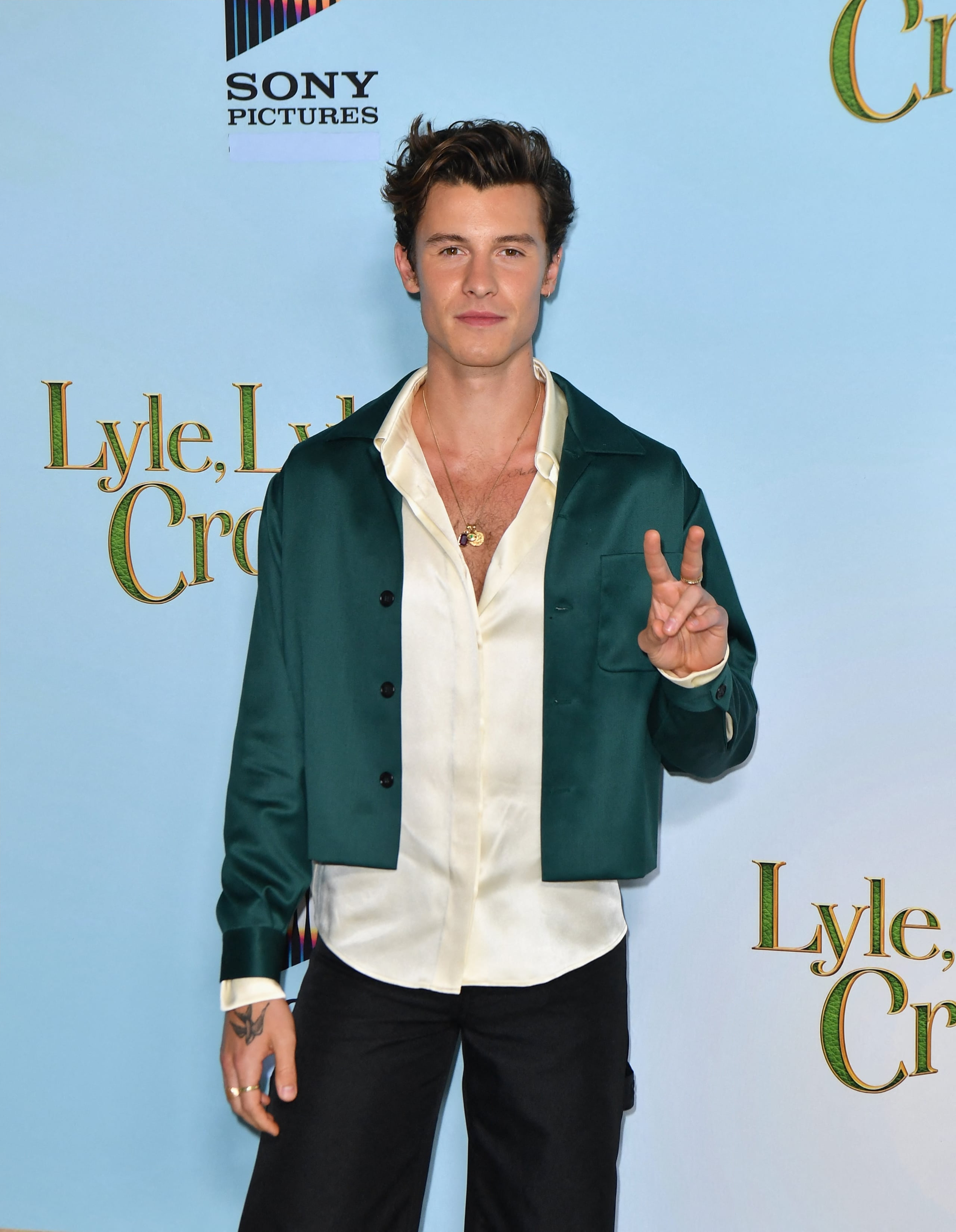 鳄鱼莱莱剧照的剧照