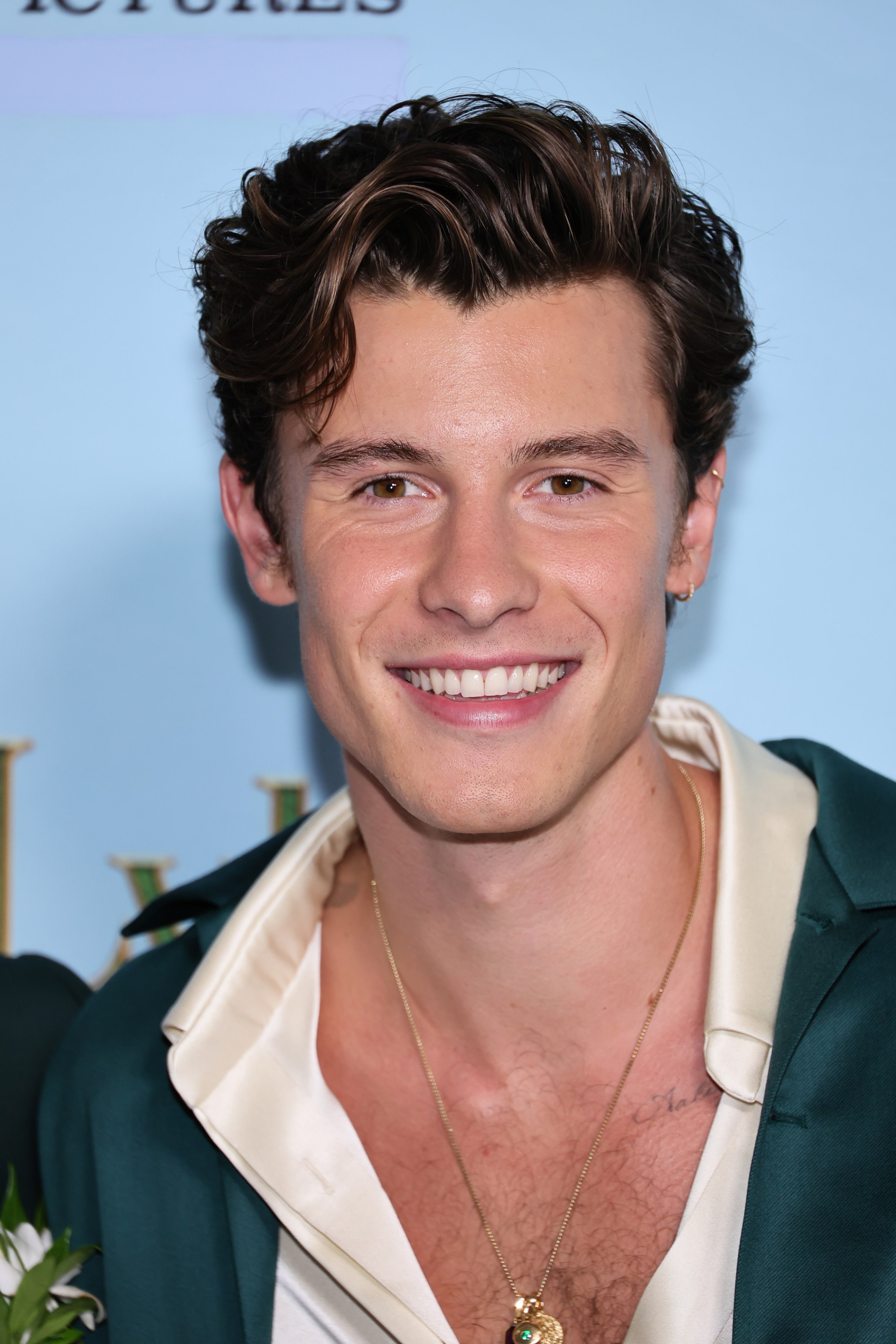 鳄鱼莱莱剧照的剧照