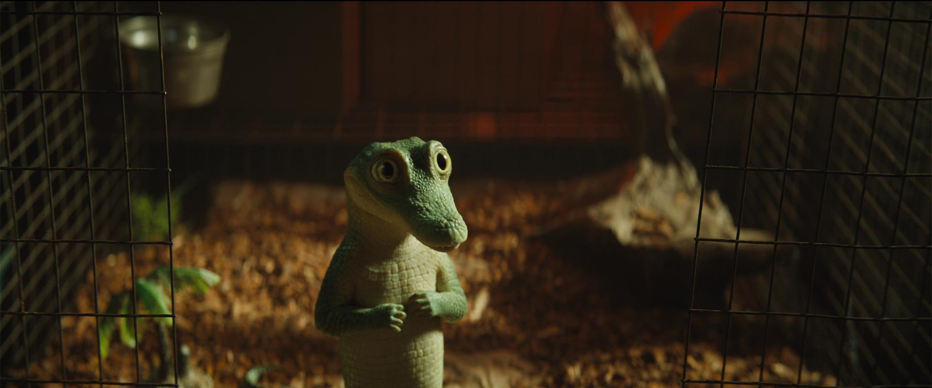 鳄鱼莱莱剧照的剧照