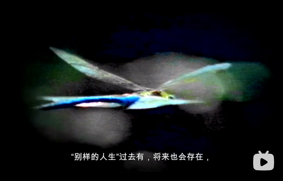 电影史-4B 我们中的符号剧照的剧照