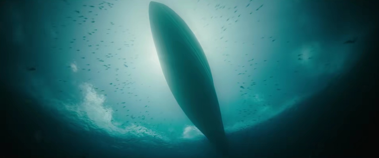 黑豹2剧照的剧照