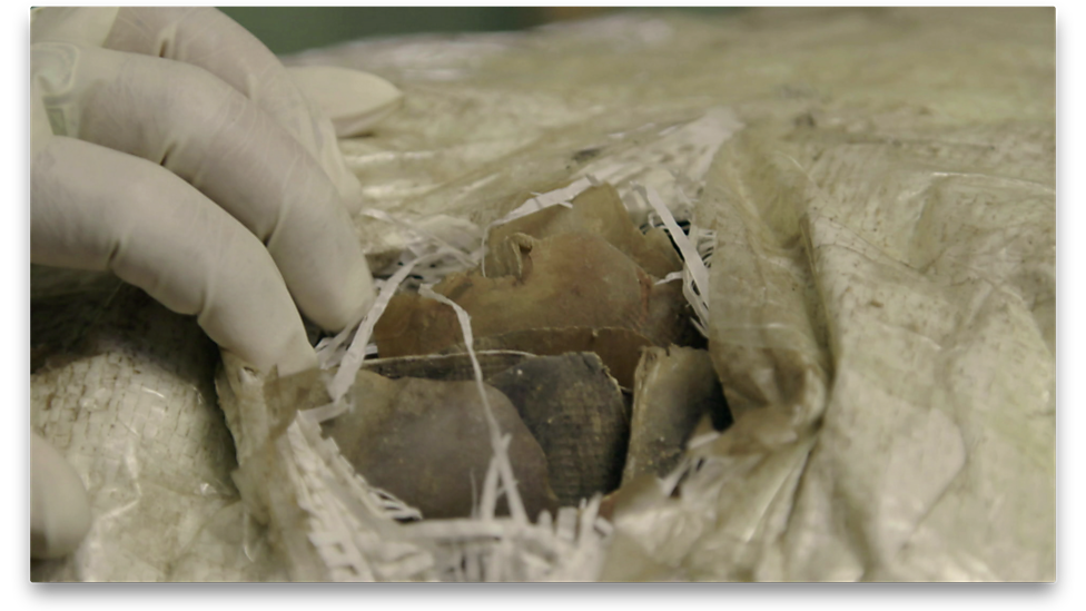 穿山甲：被捕杀最多的动物剧照的剧照