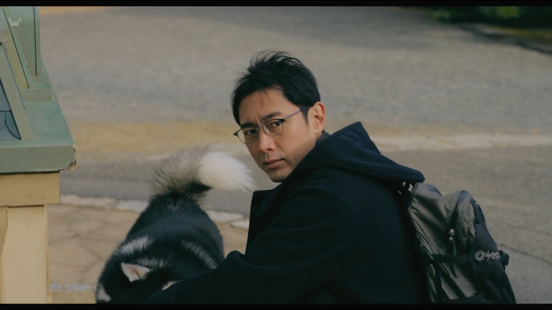 巴斯克维尔的猎犬 夏洛克剧场版剧照的剧照