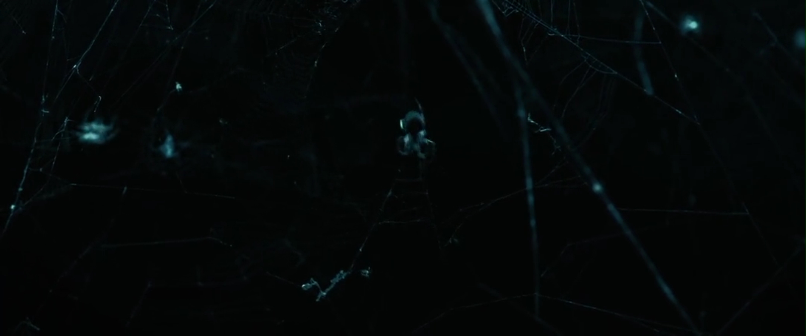 她将会剧照的剧照