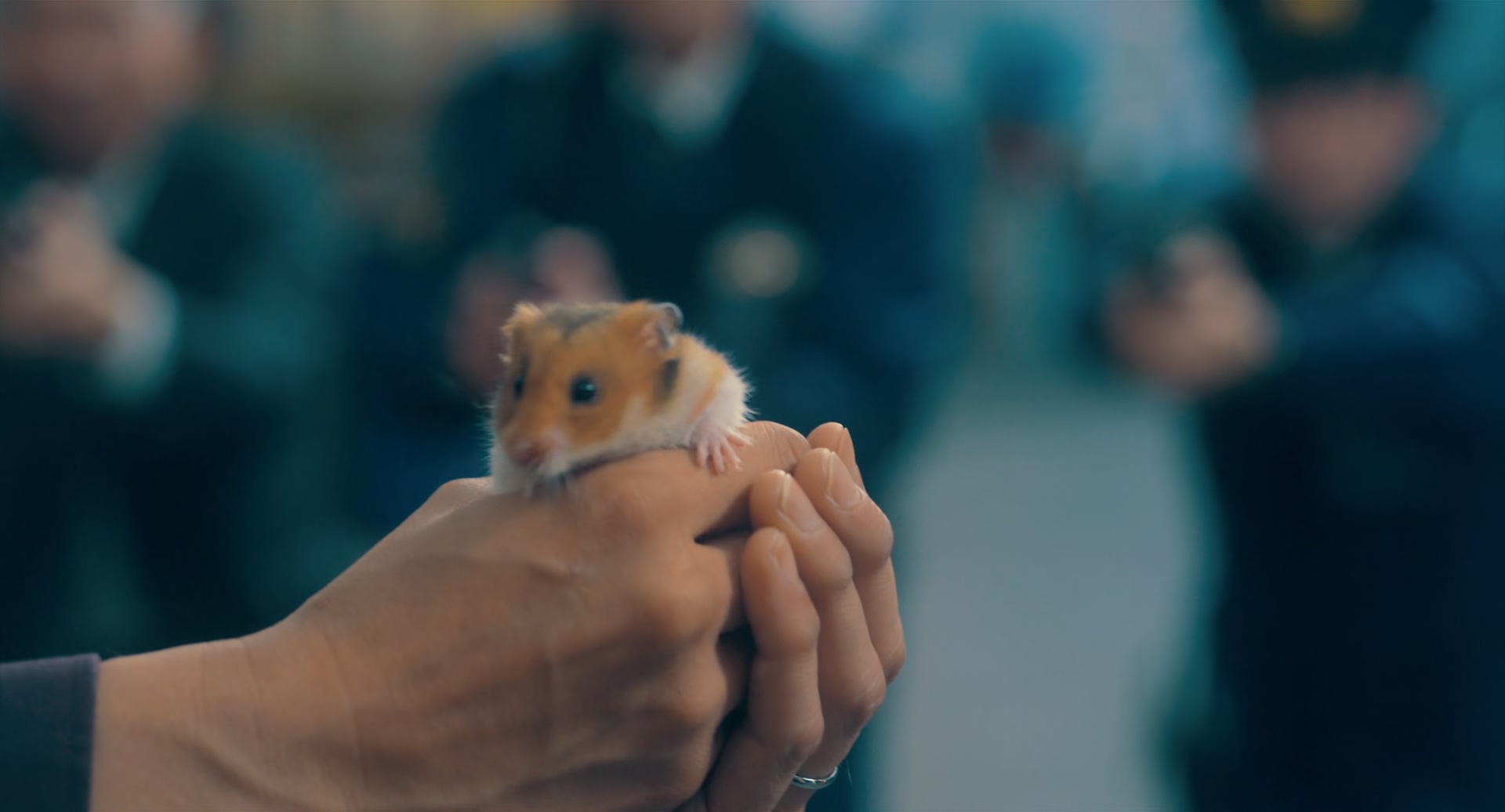 极主夫道 电影版剧照的剧照