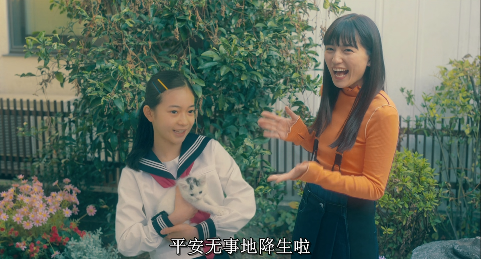 极主夫道 电影版剧照的剧照