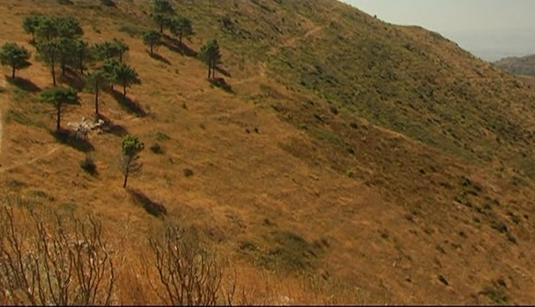 唐吉诃德剧照的剧照