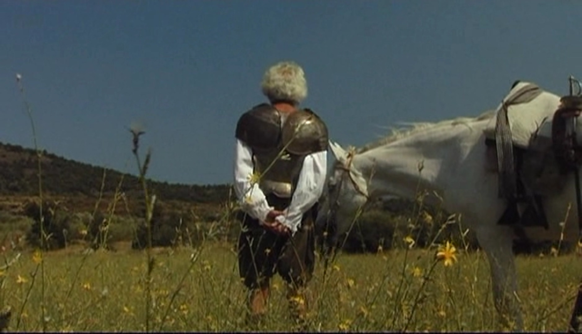 唐吉诃德剧照的剧照