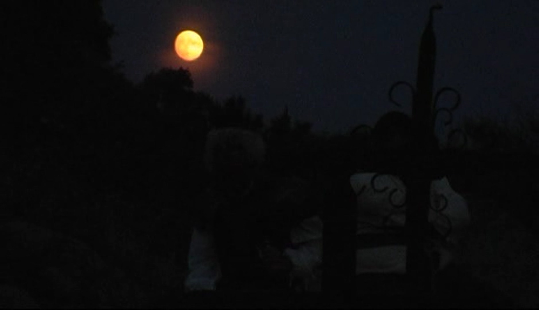 唐吉诃德剧照的剧照