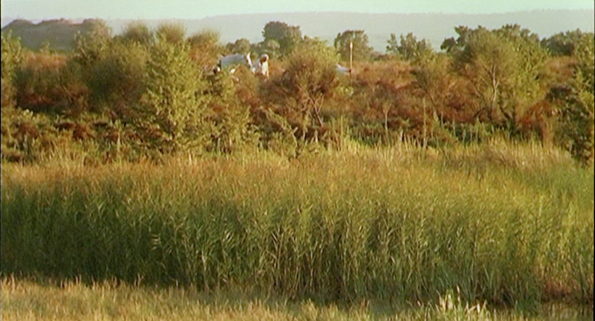 唐吉诃德剧照的剧照