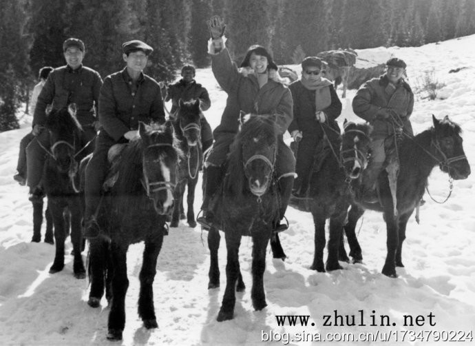 肖尔布拉克剧照的剧照