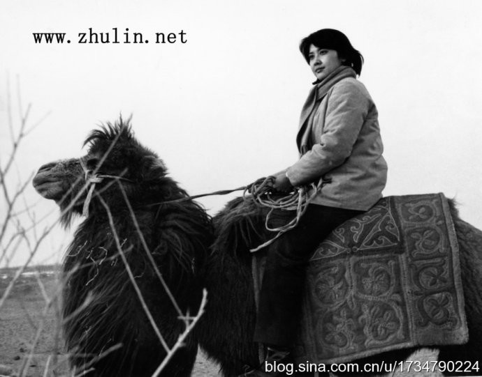 肖尔布拉克剧照的剧照