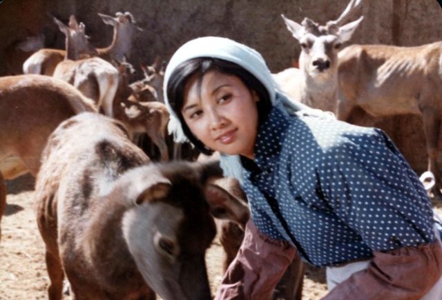 肖尔布拉克剧照的剧照