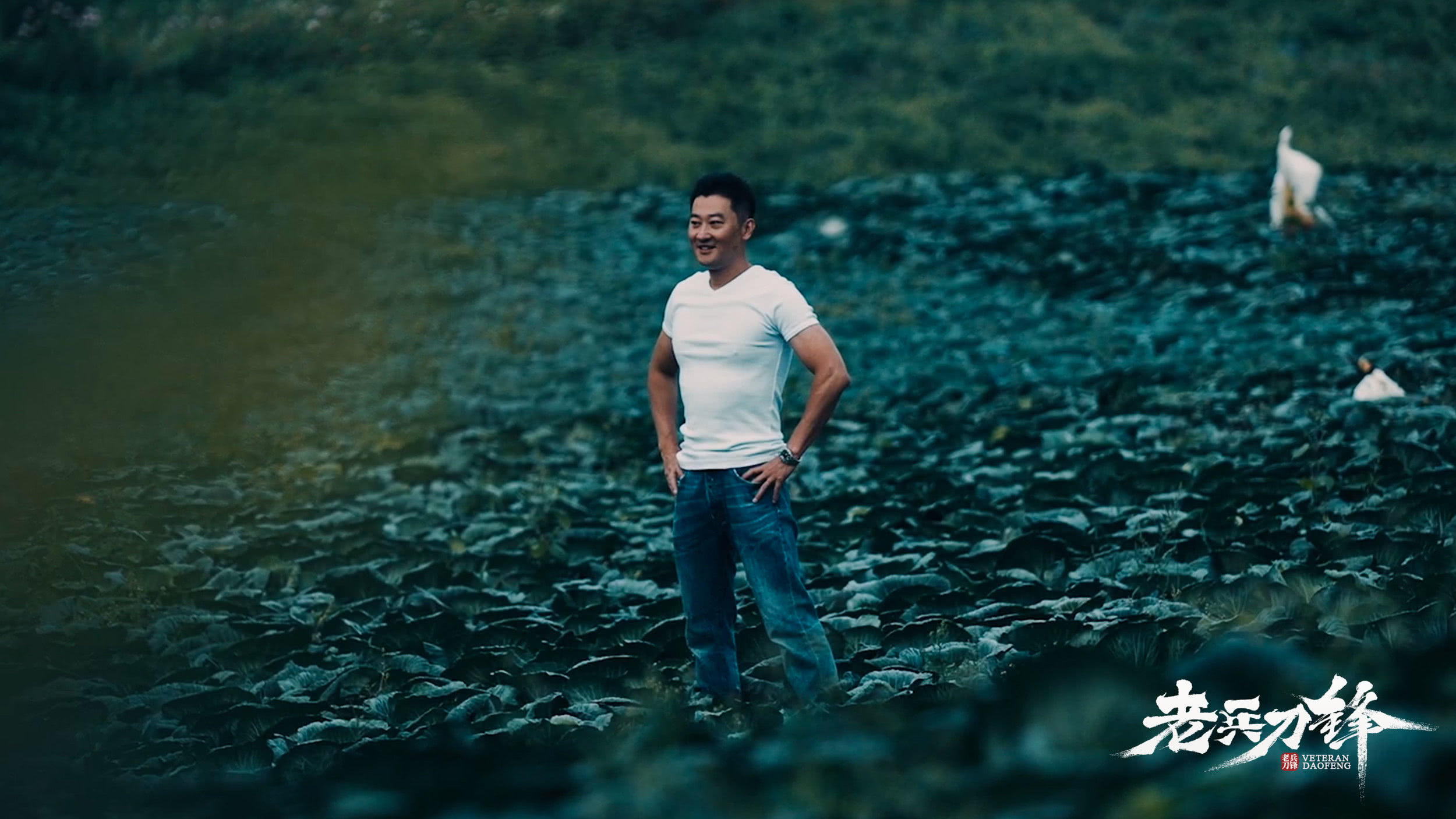 老兵刀锋剧照的剧照