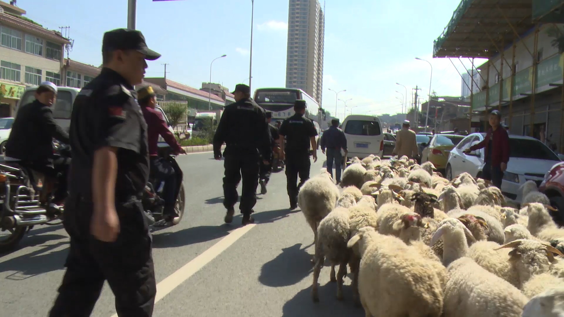 我是城管剧照的剧照