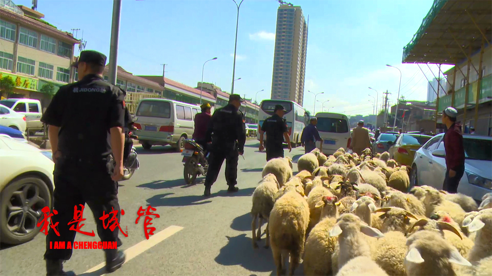 我是城管剧照的剧照