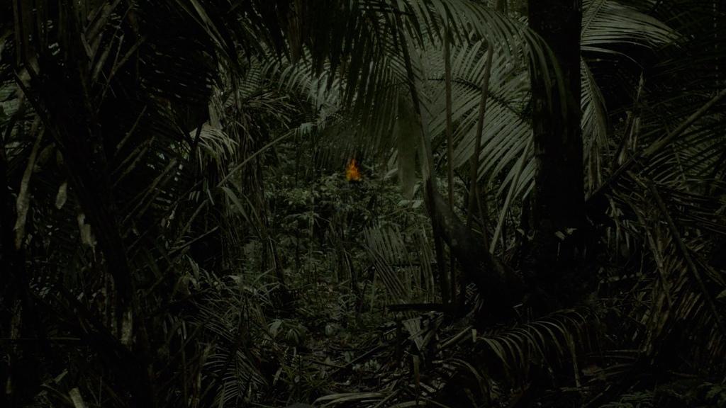 Curupira e a Máquina do Destino剧照的剧照