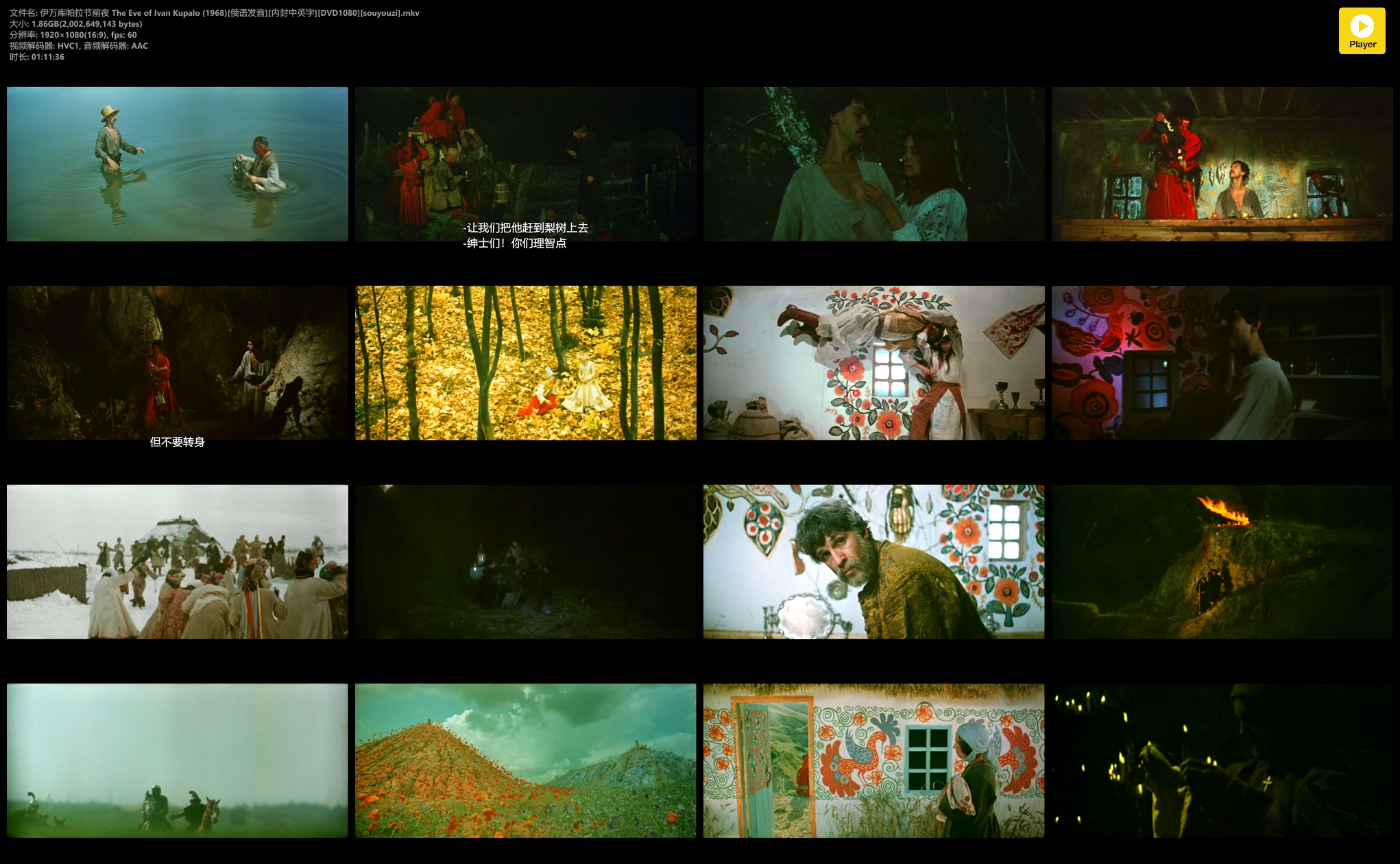 伊万库帕拉节前夜剧照的剧照