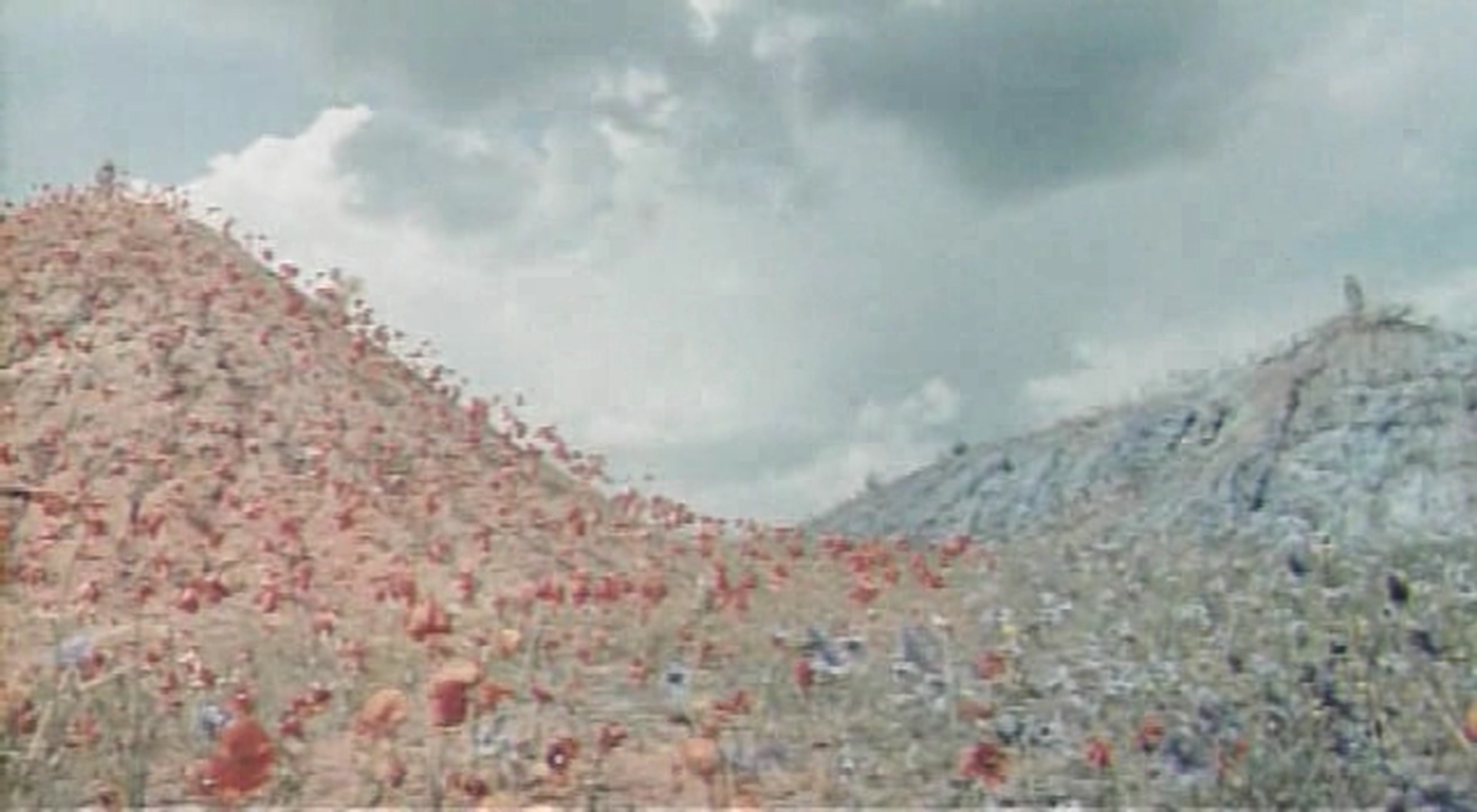 伊万库帕拉节前夜剧照的剧照