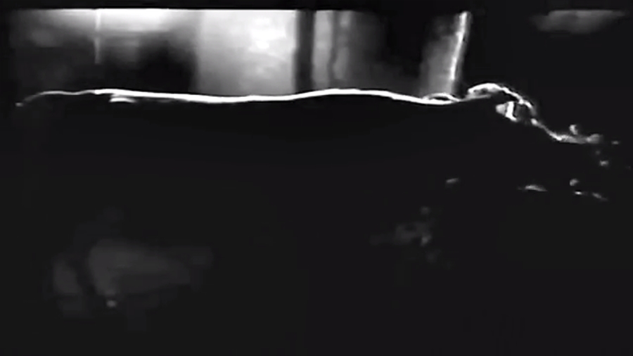 奶牛剧照的剧照