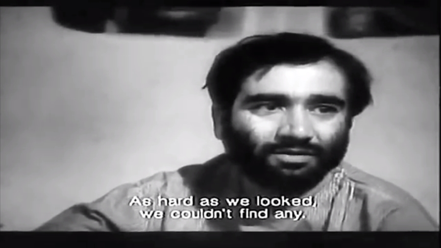 奶牛剧照的剧照