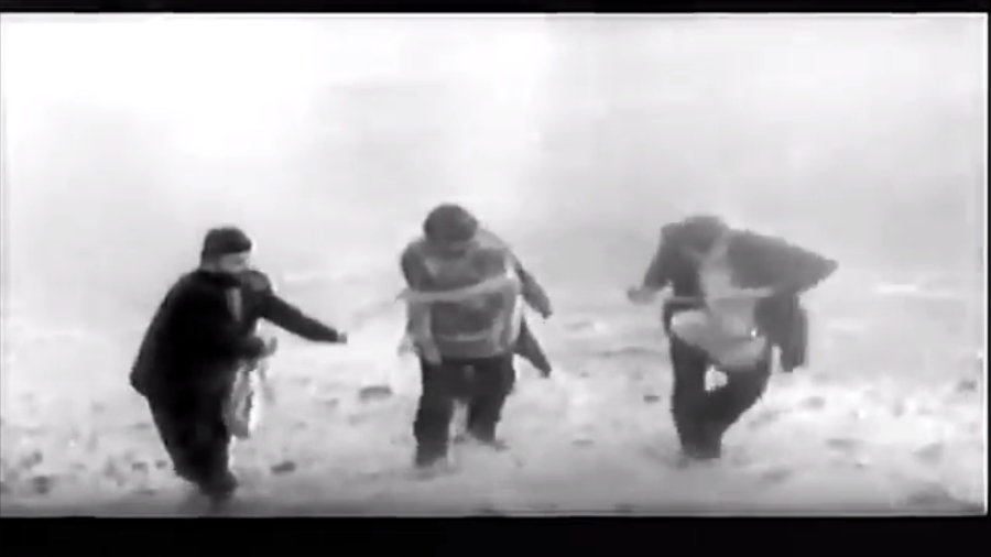 奶牛剧照的剧照