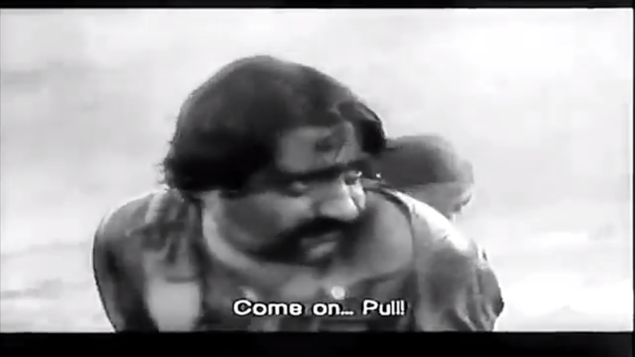 奶牛剧照的剧照