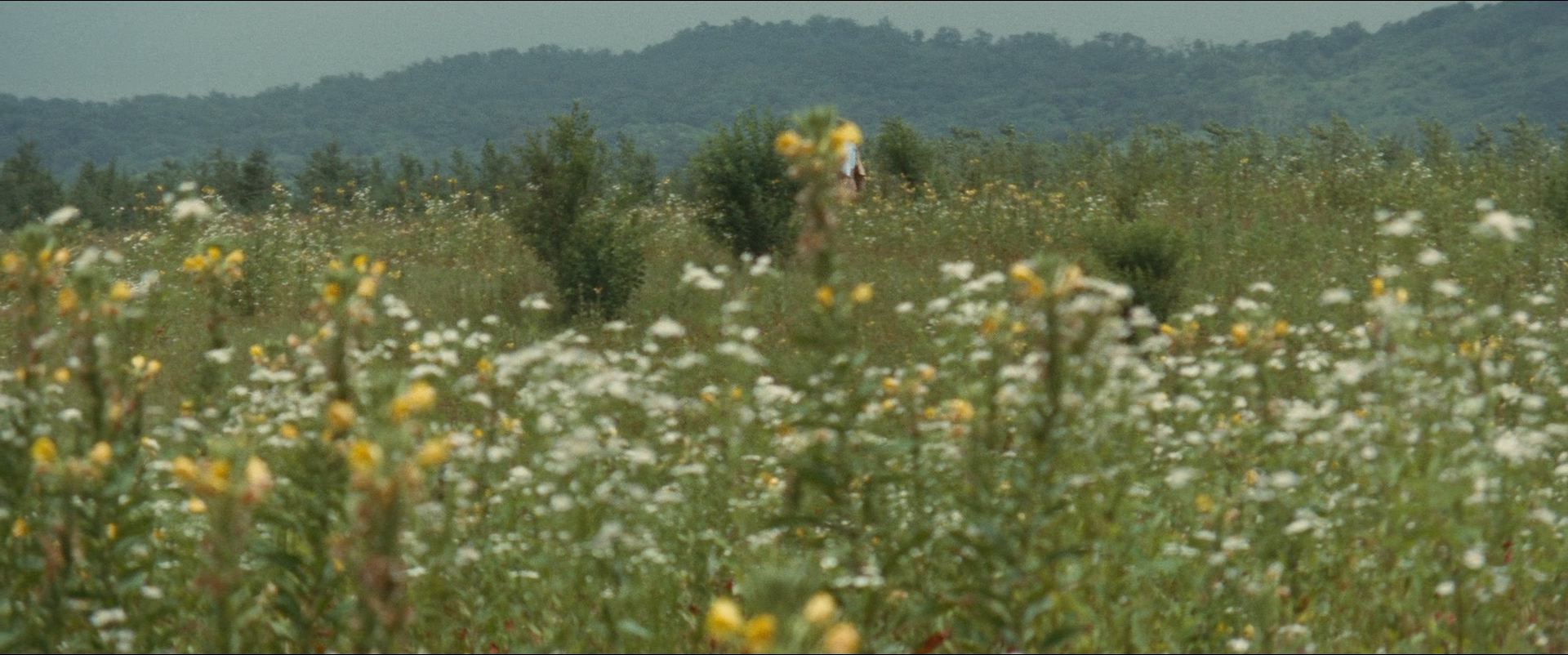 寅次郎的故事11：寅次郎勿忘我剧照的剧照
