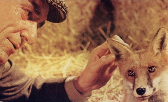 贝尔斯通之狐剧照的剧照