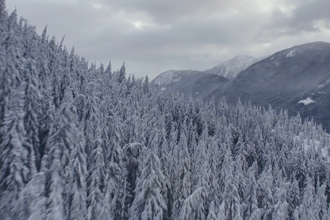 奥嘉剧照的剧照