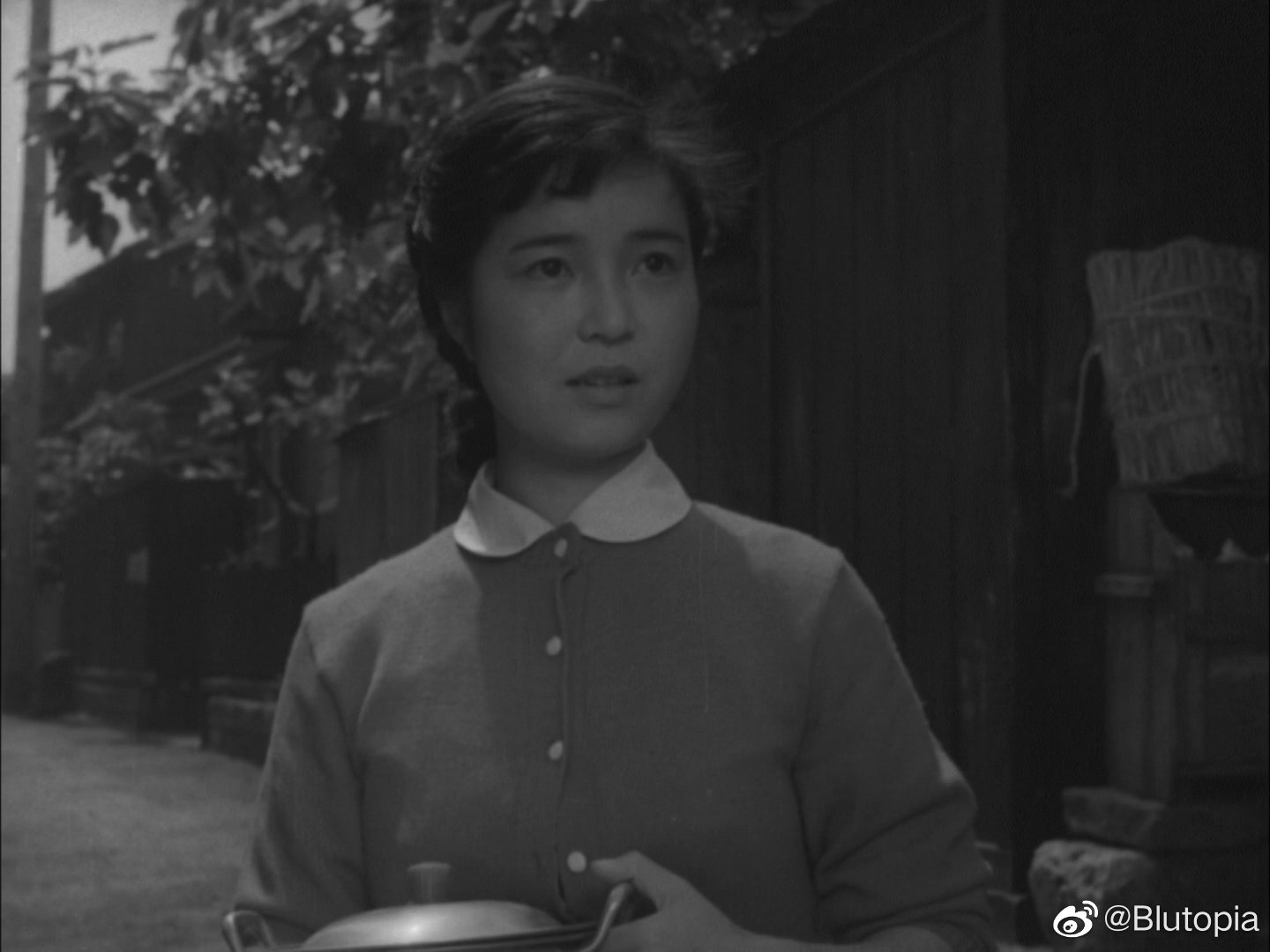 晚菊剧照的剧照