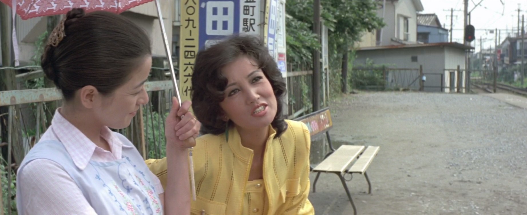 寅次郎的故事25：寅次郎芙蓉花剧照的剧照