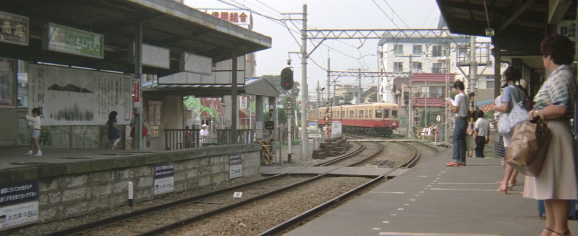 寅次郎的故事25：寅次郎芙蓉花剧照的剧照