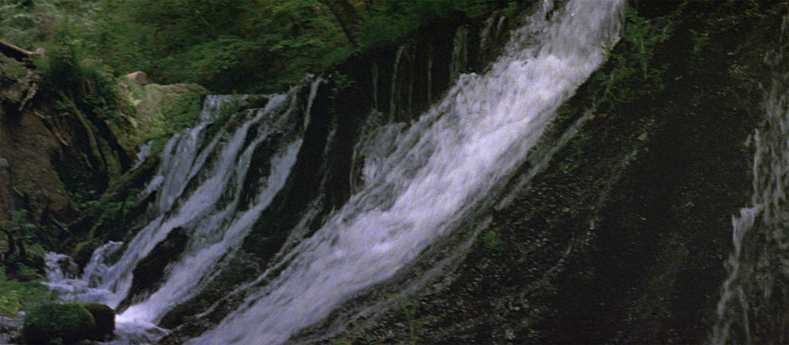 寅次郎的故事25：寅次郎芙蓉花剧照的剧照