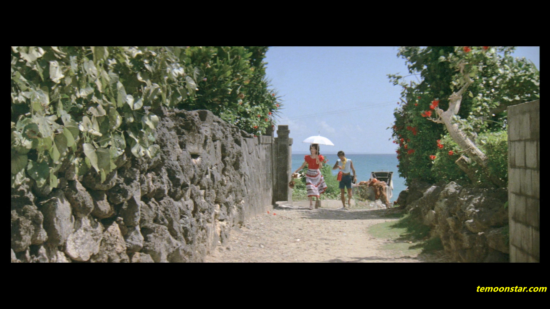 寅次郎的故事25：寅次郎芙蓉花剧照的剧照