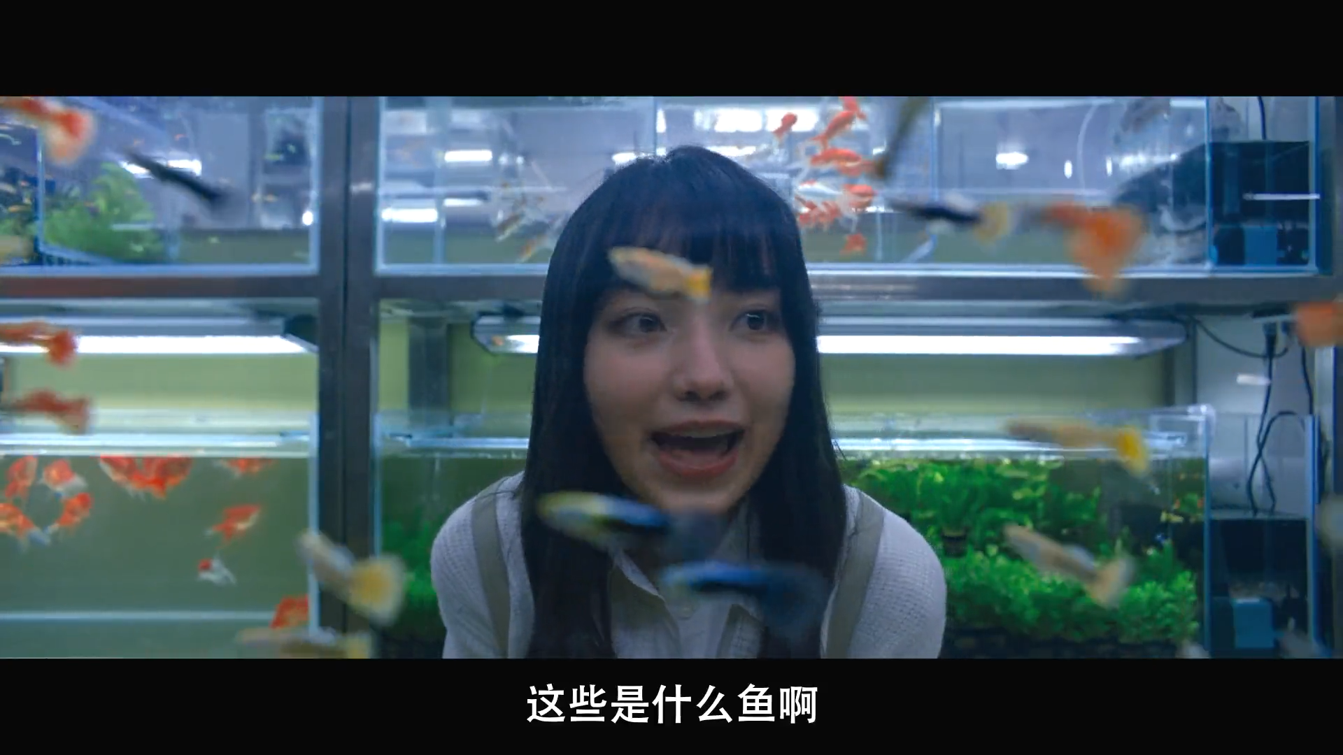 初恋慢半拍剧照的剧照