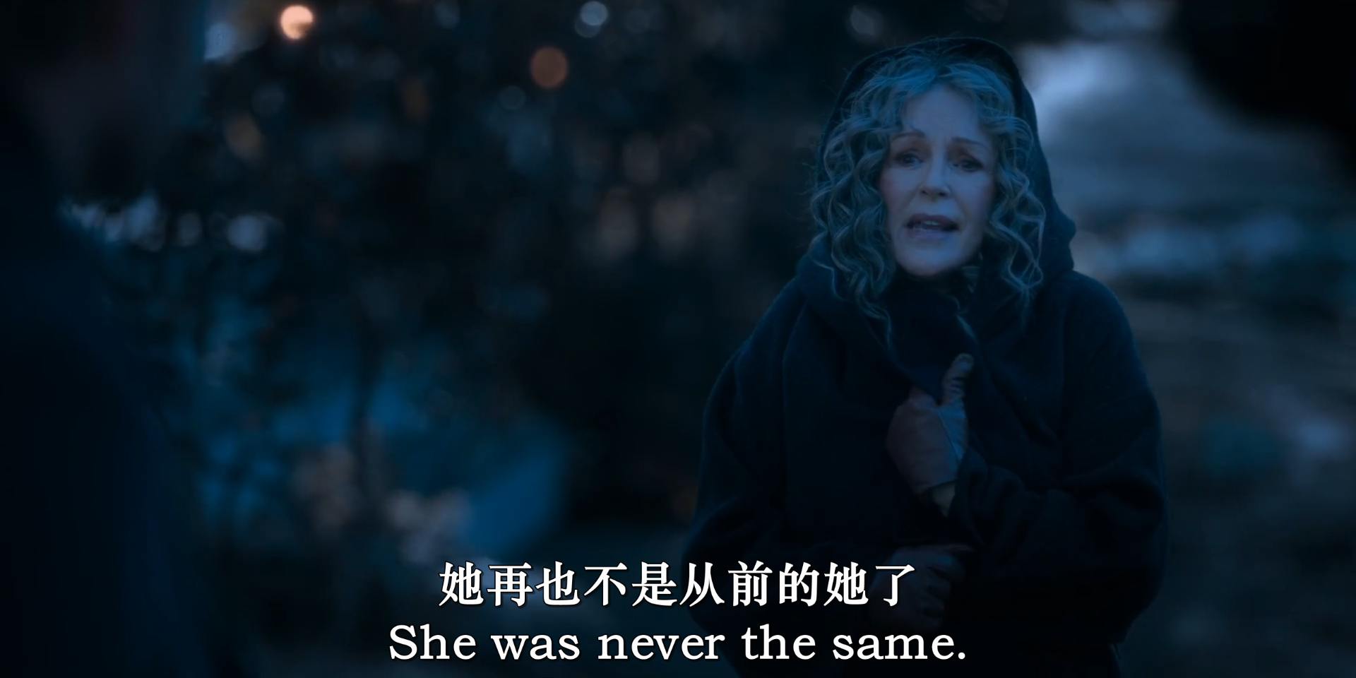 圣诞日记剧照的剧照