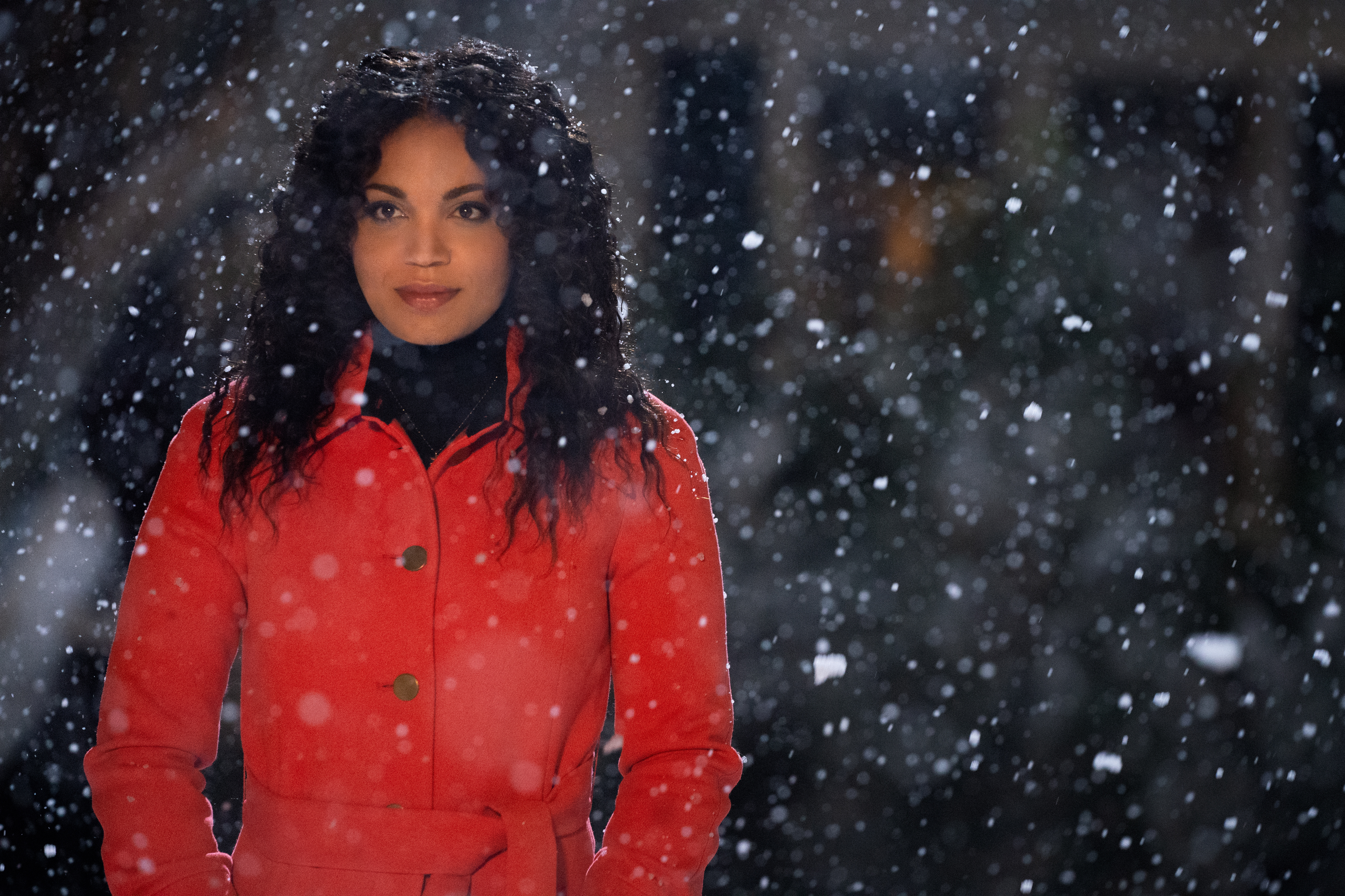 圣诞日记剧照的剧照