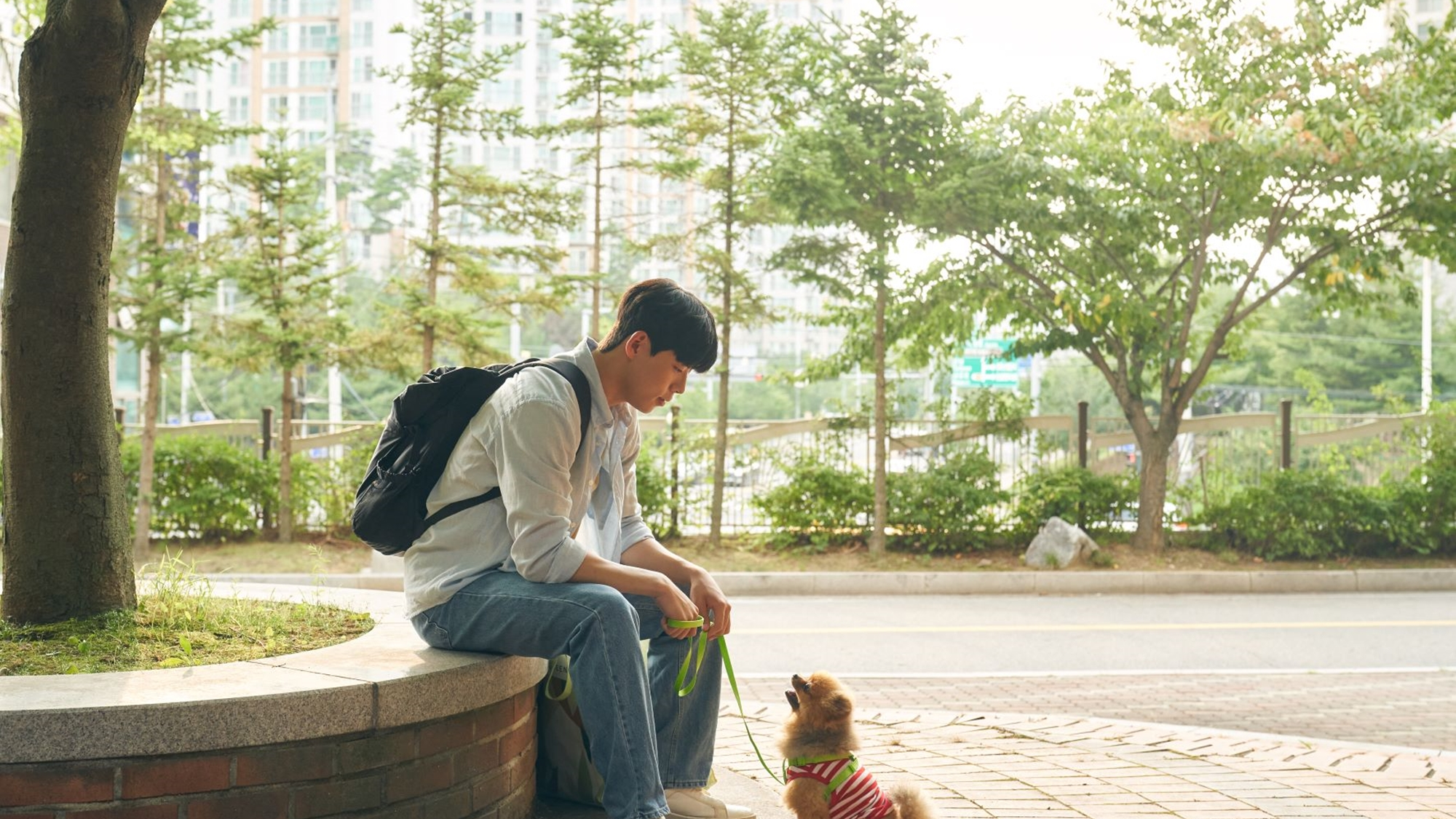 跨代同居剧照的剧照