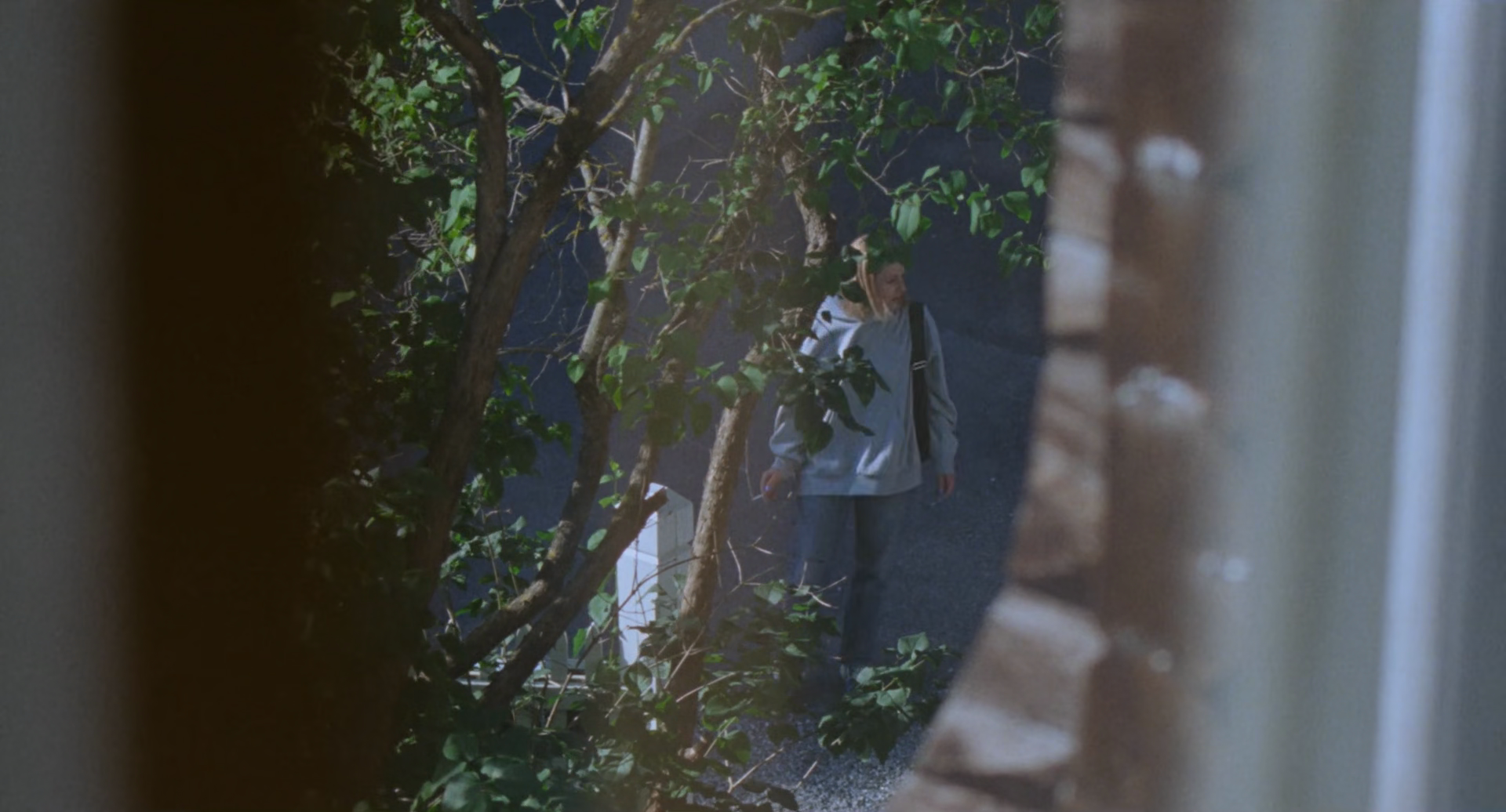 受够了自己剧照的剧照