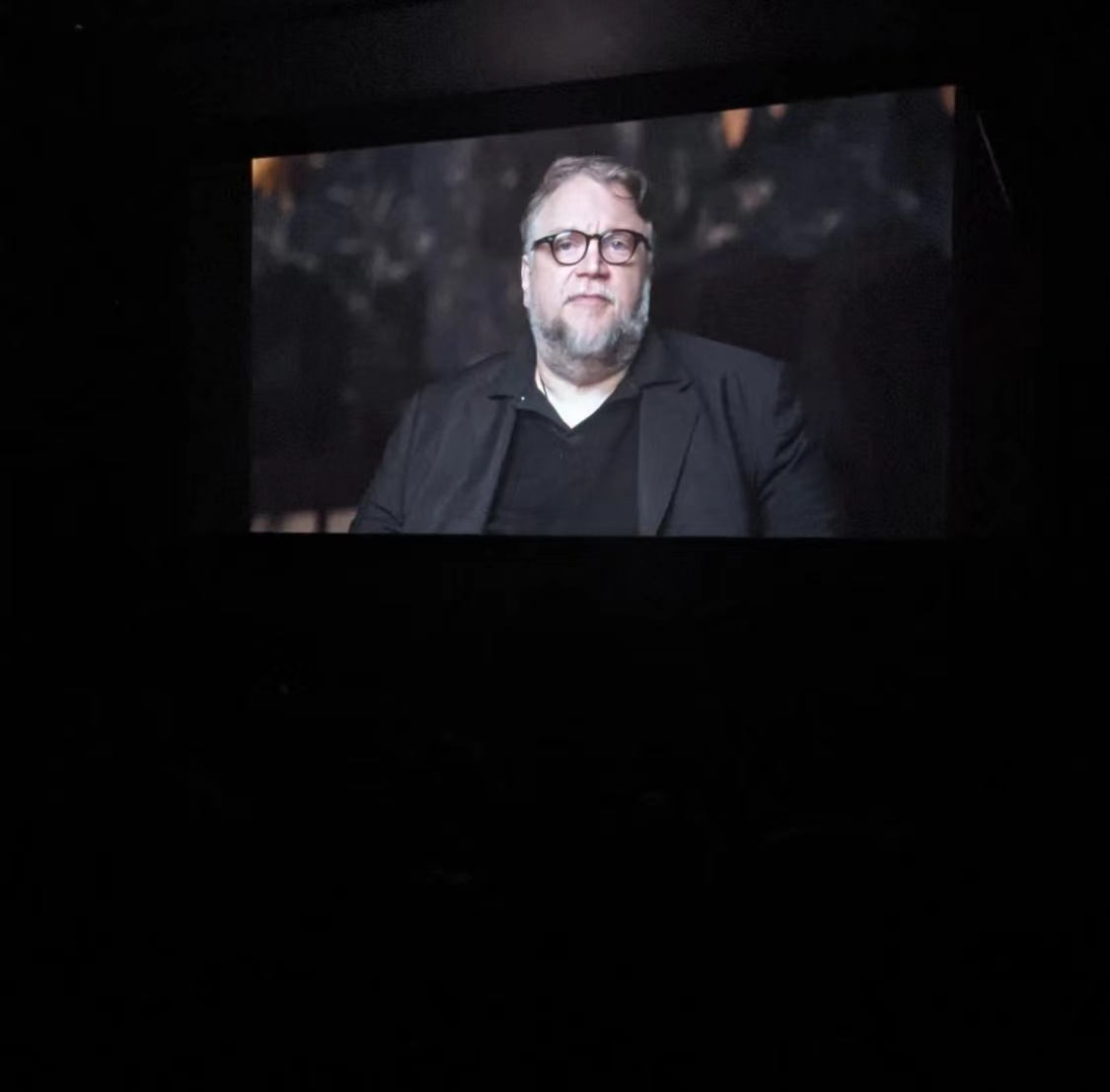 吉尔莫·德尔·托罗的匹诺曹剧照的剧照