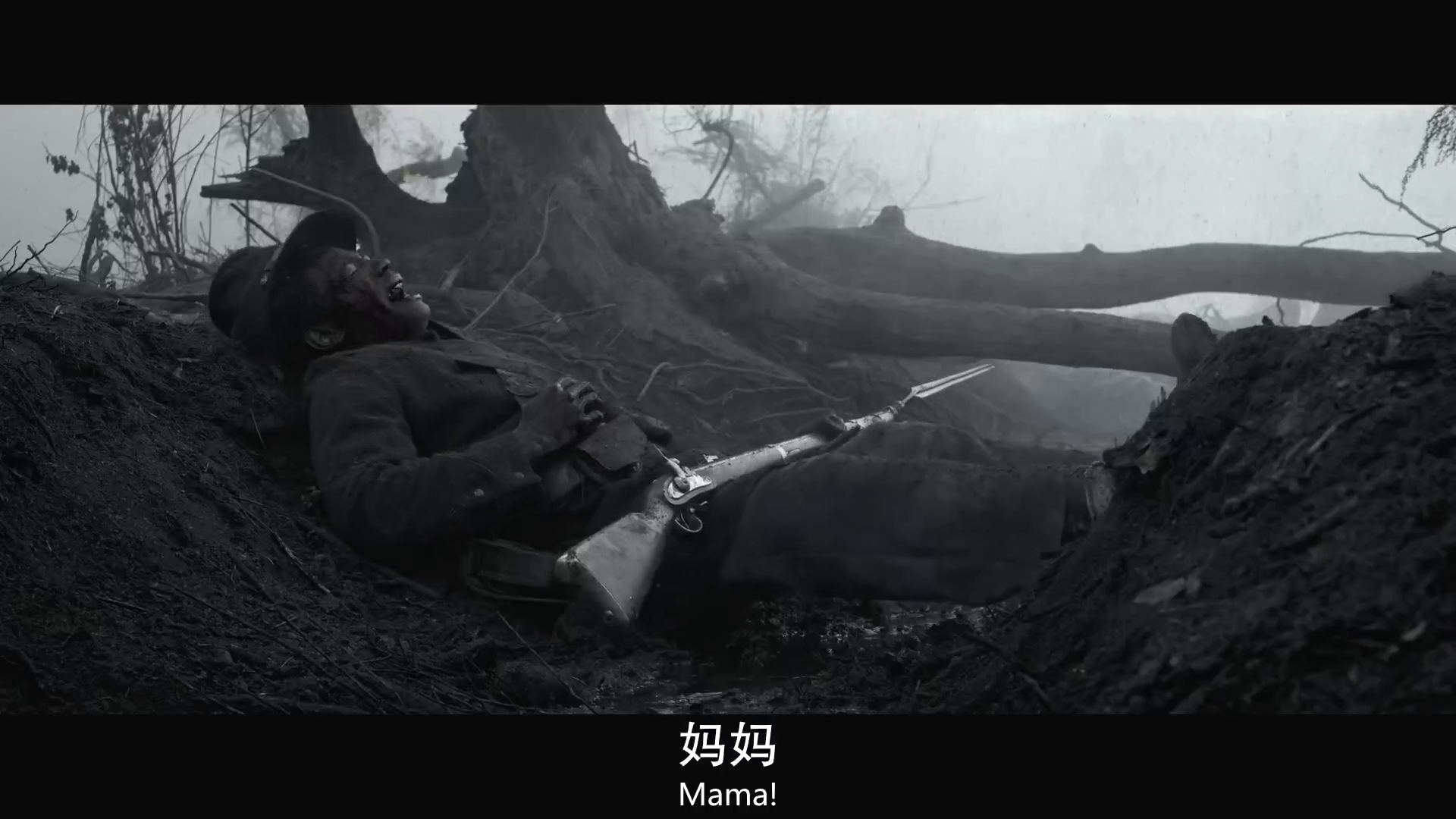 解放黑奴剧照的剧照