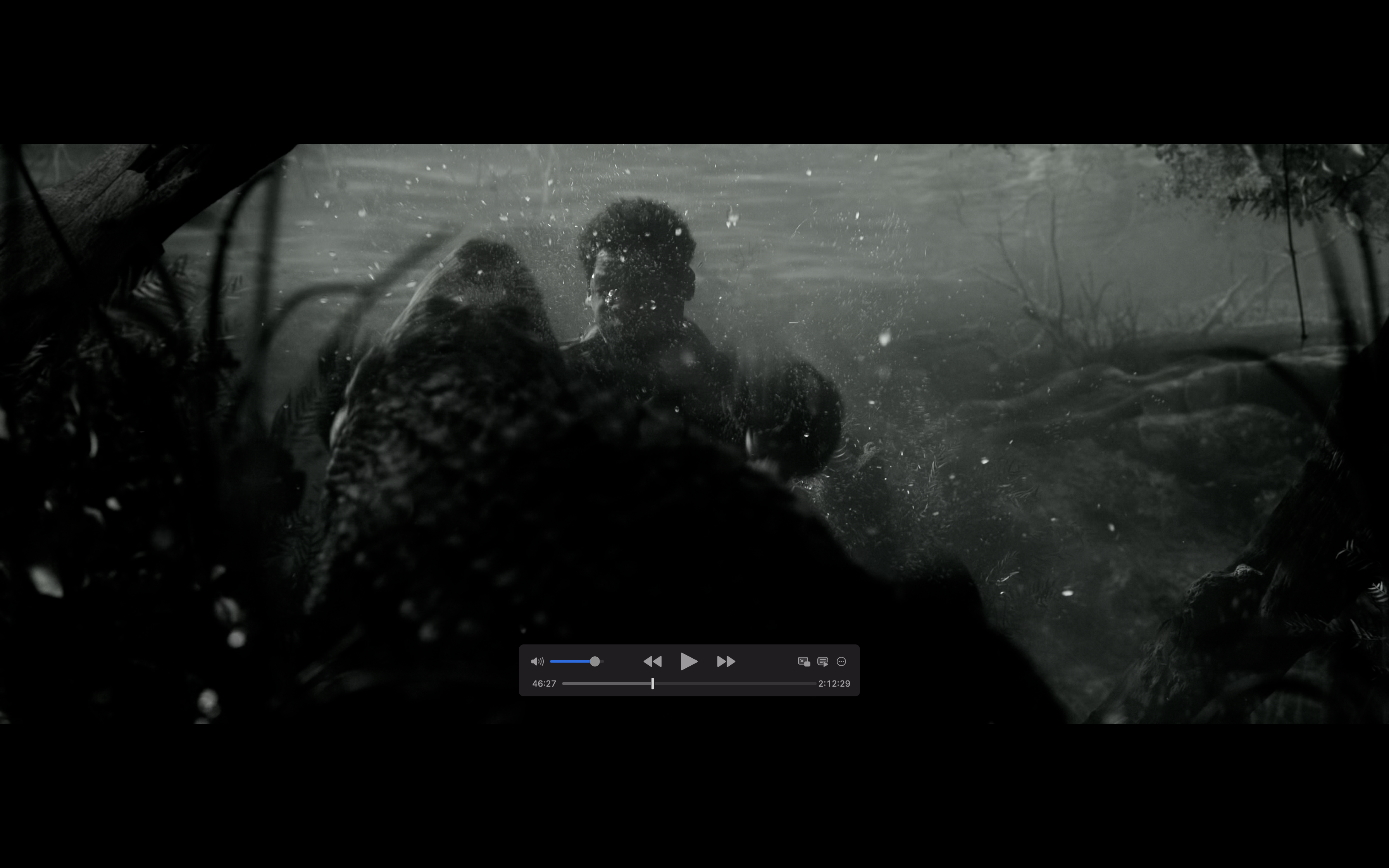 解放黑奴剧照的剧照