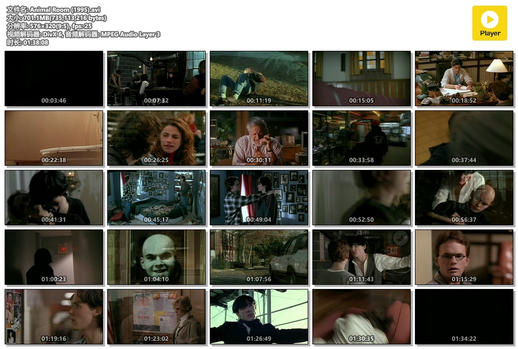 Animal Room剧照的剧照